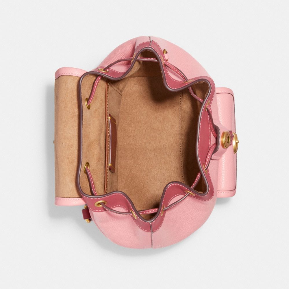 Riya Backpack 21 In Colorblock