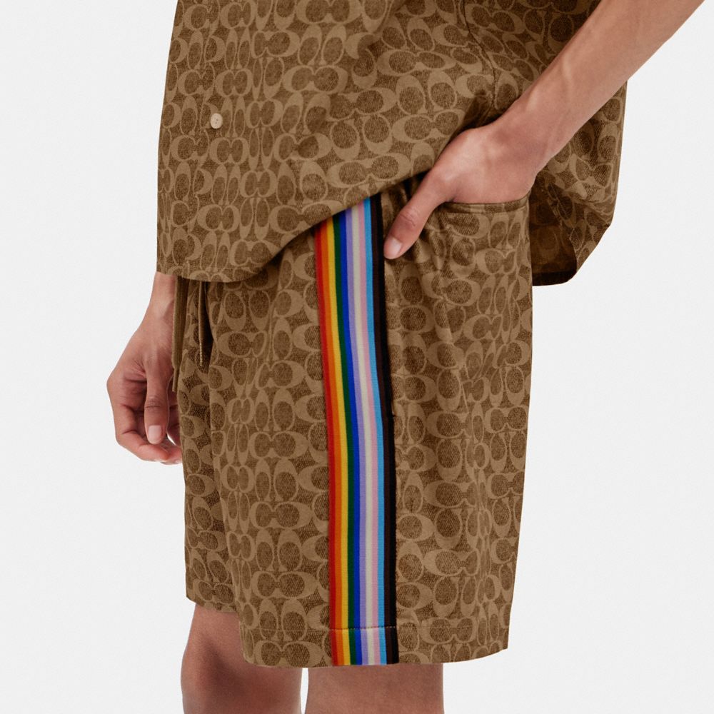 Burberry cheap rainbow shorts