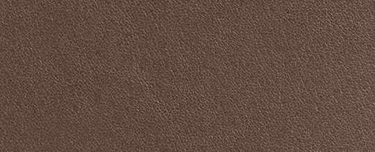 COACH®,BILLFOLD WALLET,Refined Calf Leather,Mini,Brass/Dark Stone,Front View