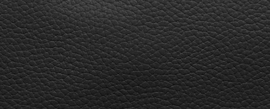 COACH®,Essential Small Wristlet,Leather,Wristlet,Pouch,Faux Leather,Metal,Logo,Embossed,Casual,Black