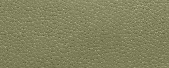 COACH®,SMALL WRISTLET,Polished Pebble Leather,Medium,Brass/Moss
