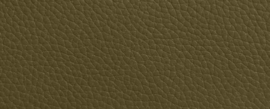 COACH®,PETIT WRISTLET ESSENTIEL,Cuir galet poli,OLIVE/LAITON,Front View