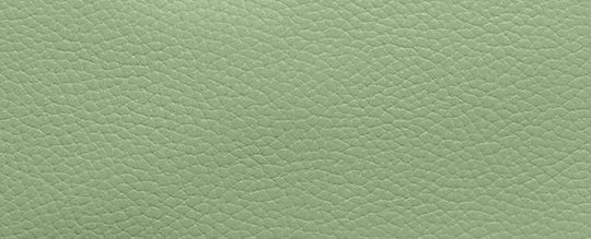 COACH®,SMALL WRISTLET,Polished Pebble Leather,Medium,Silver/Pale Pistachio,Front View