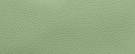 COACH®,SMALL WRISTLET,Polished Pebble Leather,Medium,Silver/Pale Pistachio
