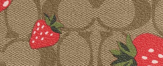 Coach Notebook In Signature Canvas With Wild Strawberry Print CH836 store NWT