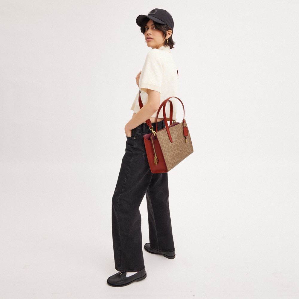 COACH®,Carter Carryall Bag In Signature Canvas,Canvas,Leather,Calf Hair,Tote,No Embellishment,Work,Brown,Detail View