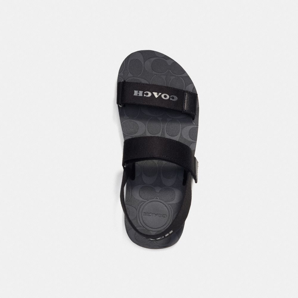 COACH®,スポーツ サンダル,スニーカー&サンダル,ﾌﾞﾗｯｸ