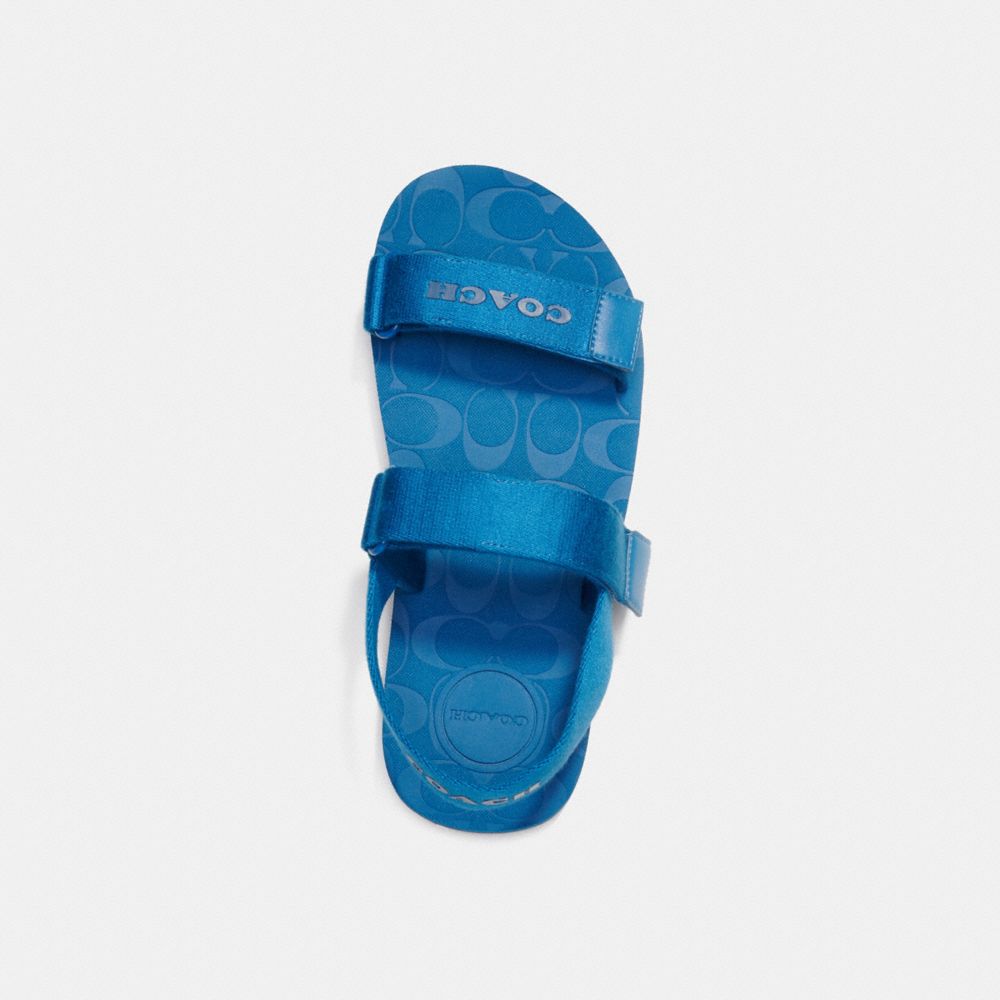 COACH®,SPORT SANDAL,Blue Jay,Inside View,Top View