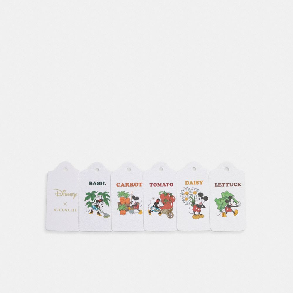 Complimentary Disney X Coach Seed Packet