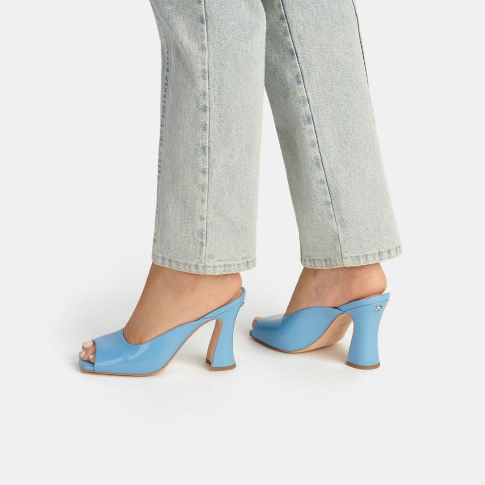Laurence Sandal