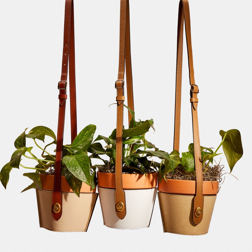 COACH®,Remade Hanging Plant Pot Holder,Planter,Hanging,Beige,Group View
