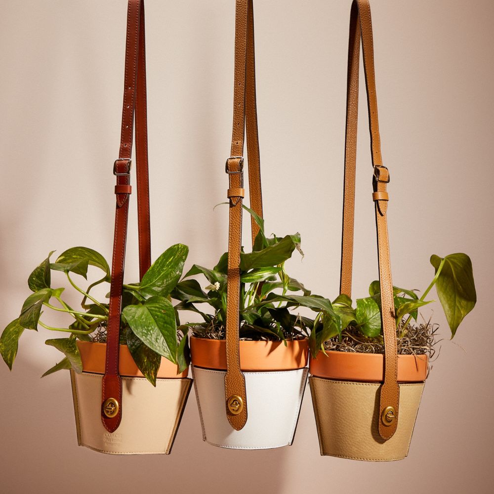 COACH®,Remade Hanging Plant Pot Holder,Planter,Hanging,Beige,Group View