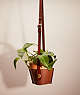 COACH®,REMADE HANGING PLANT POT HOLDER,Mini,Garden Party,Brown/Multi,Front View