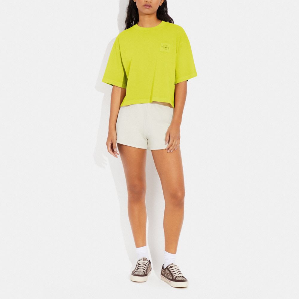 Garment Dye Cropped T Shirt