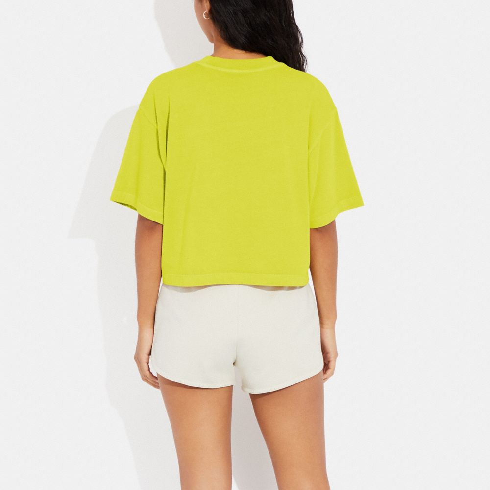 COACH®,GARMENT DYE CROPPED T-SHIRT,Yellow Plum,Scale View