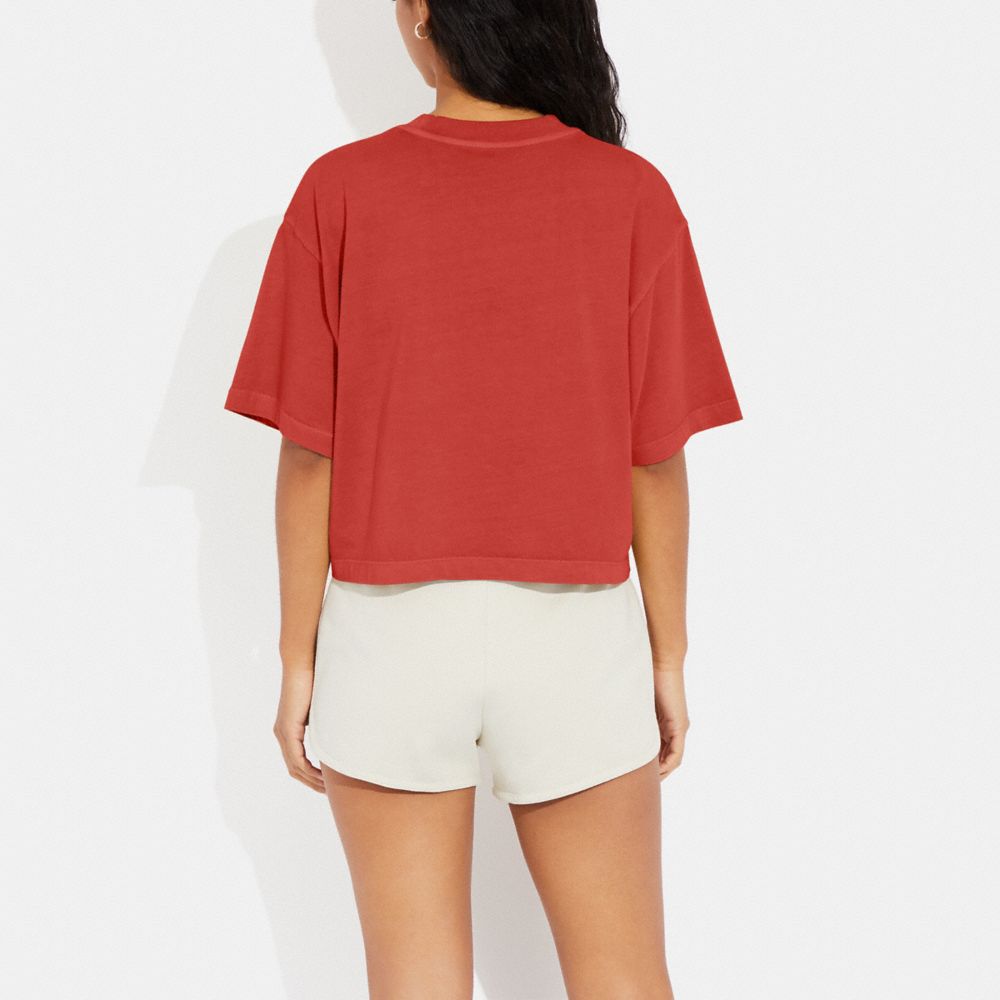 COACH®,Garment Dye Cropped T Shirt,Cotton,T Shirt,Casual,Coral,Scale View