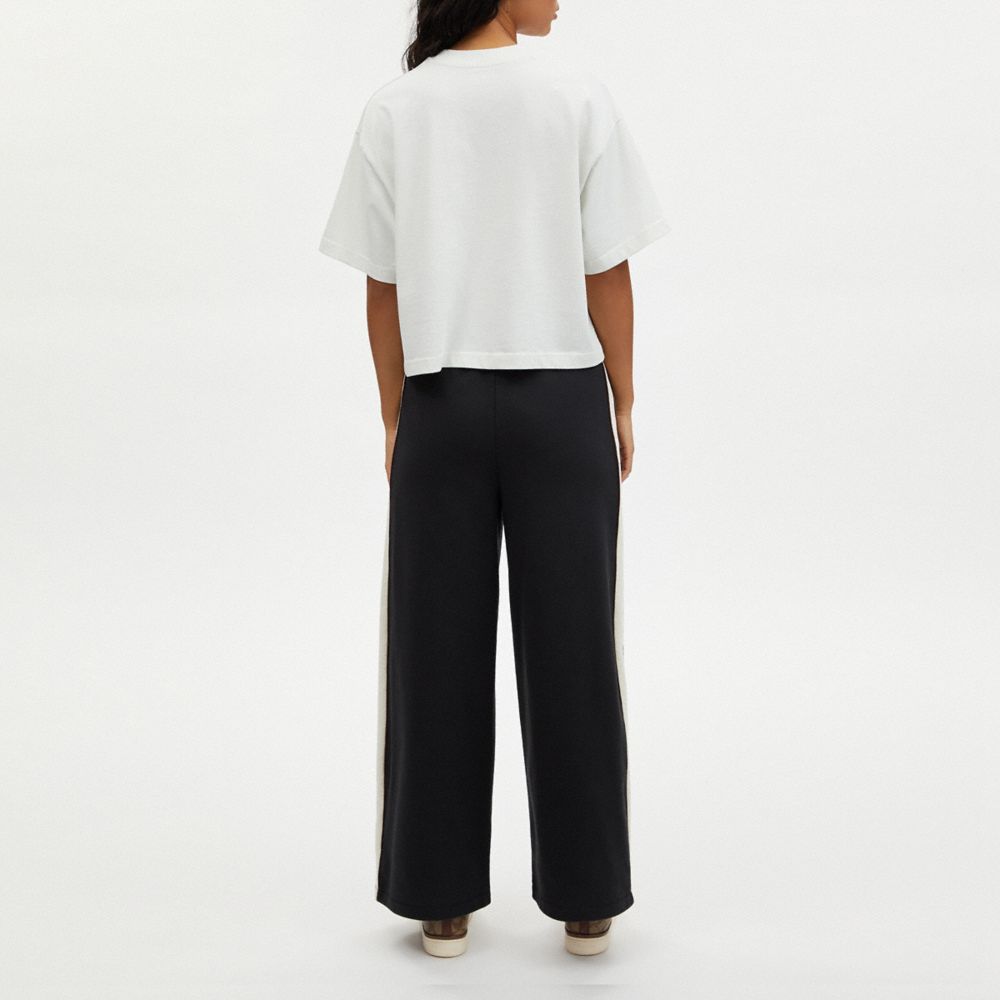 COACH®,TRACK PANTS,Black,Scale View