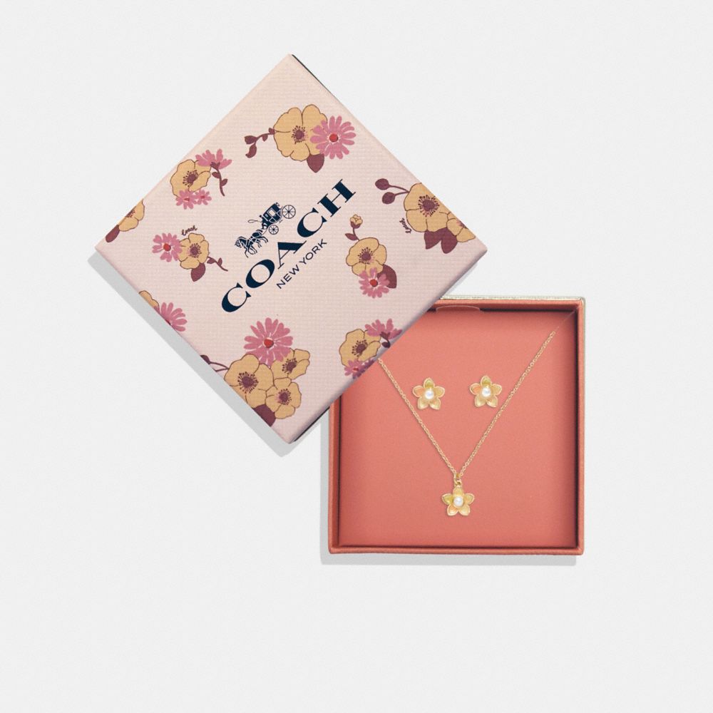 COACH®  Boxed Jewelry Box And Earrings Set In Signature Canvas