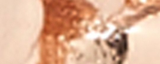 COACH®,Signature Chain Small Hoop Earrings,Hoops,Lettering Word,Logo,Chain Link,Brass,Titanium,Work,Casual,,Front View