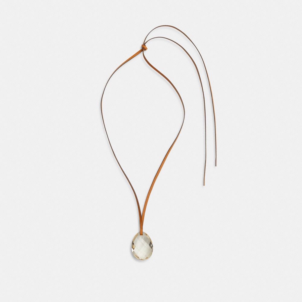 COACH®,Buy Now Crystal Teardrop Long Pendant Necklace,,Front View