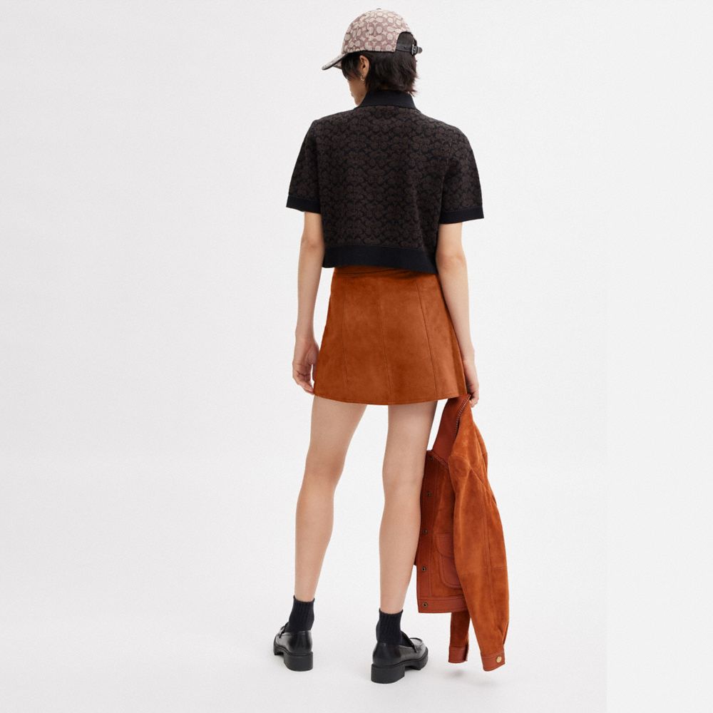 COACH®,BRAIDED SUEDE MINI SKIRT,Burnished Amber,Scale View