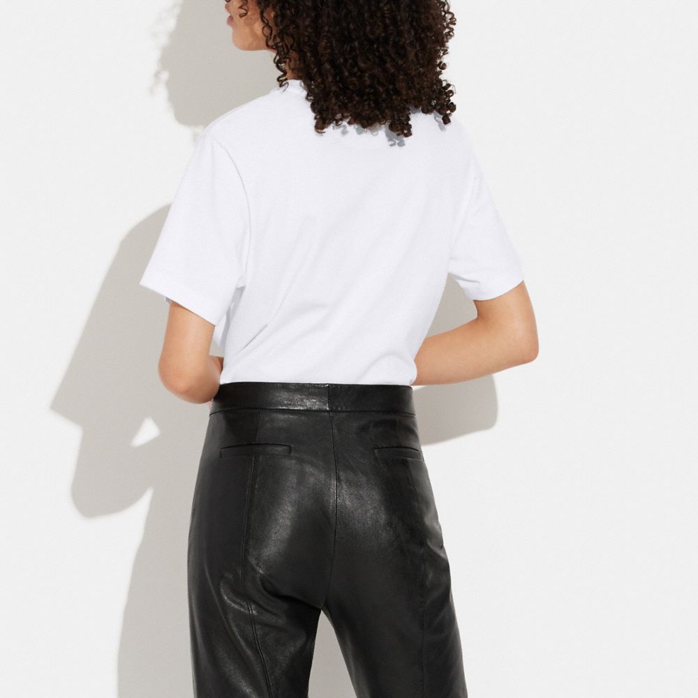 COACH®,ニューヨーク アップル サンセット Tシャツ,トップス＆Tシャツ,