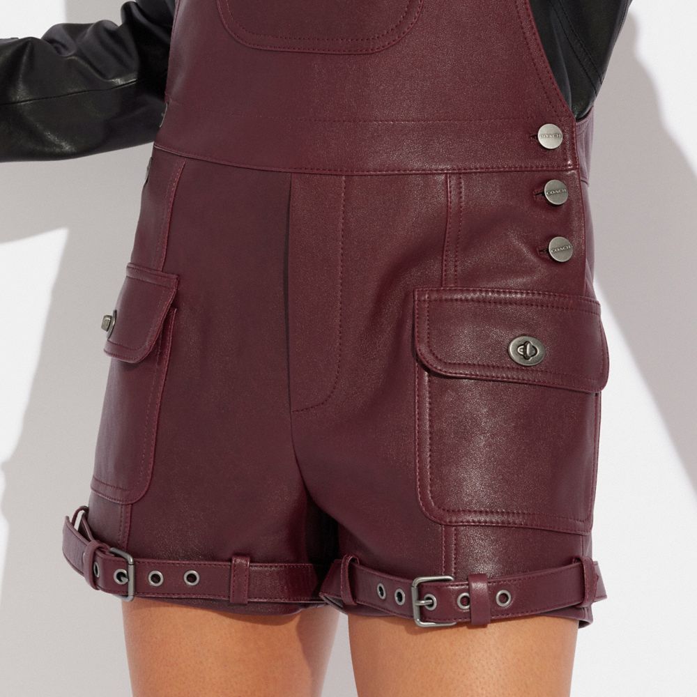 公式】COACH – コーチ | レザー ダンガリー