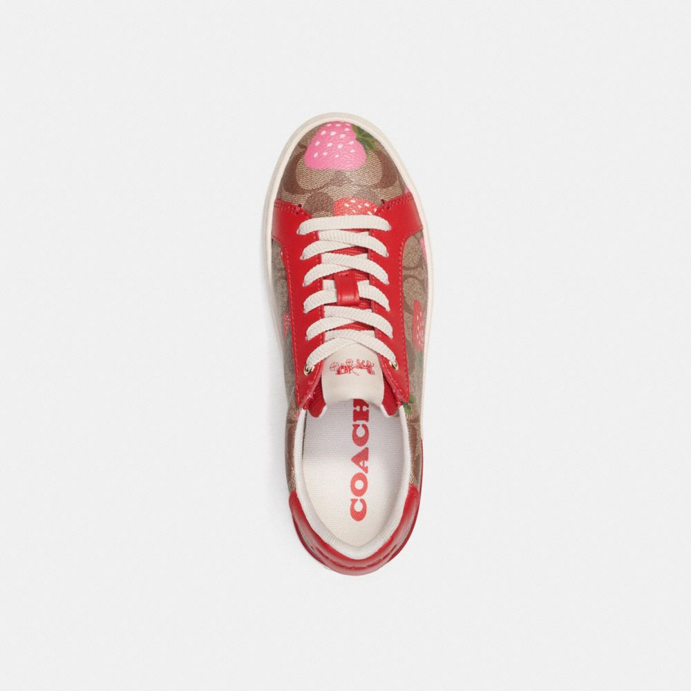 Clip Low Top Sneaker In Signature Canvas With Wild Strawberry Print
