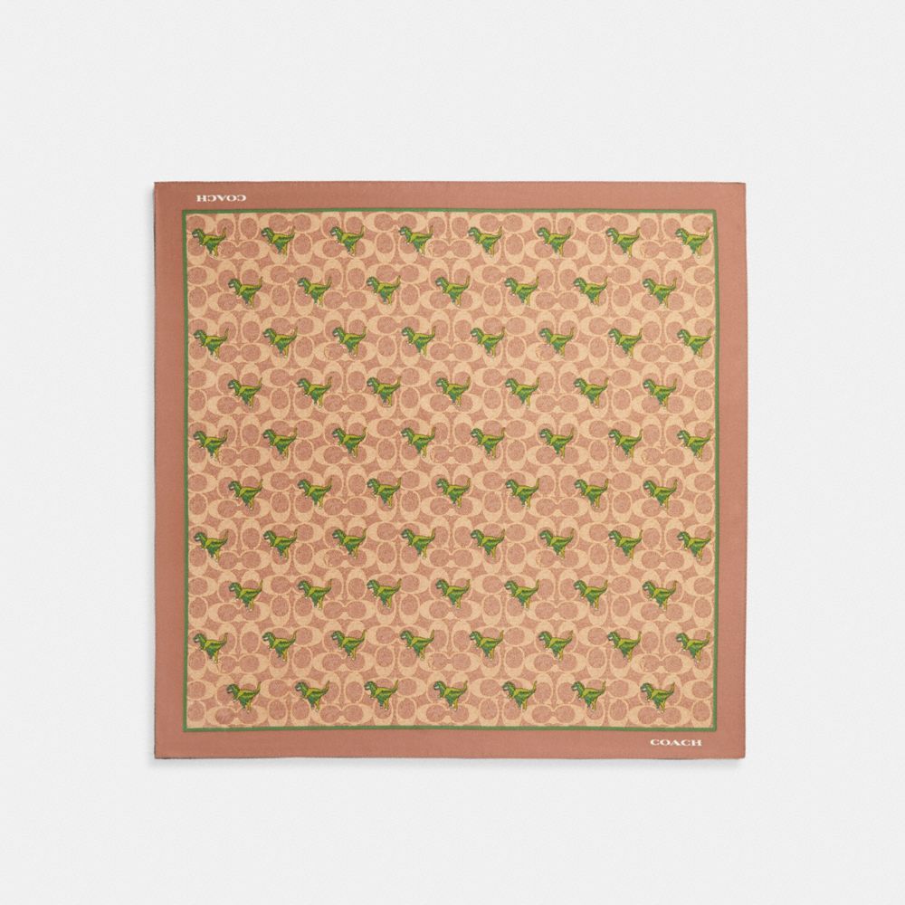 COACH®,REXY PRINT SILK BANDANA,Silk,Khaki,Front View