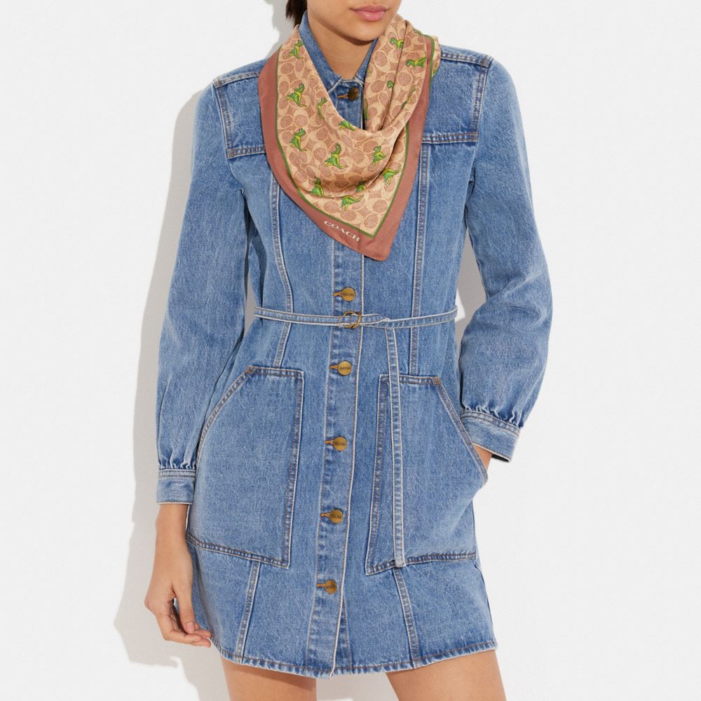 Coach bandana shop print dress