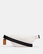 COACH®,SPRINT BELT BAG 24 IN RAINBOW SIGNATURE CANVAS,canvas,Mini,Gunmetal/Chalk Multi,Back View