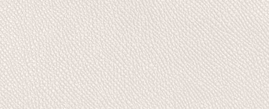 COACH®,Hobo Crossbody Bag,Canvas,Leather,Crossbody,Stripe,Scratch Resistant,Casual,White