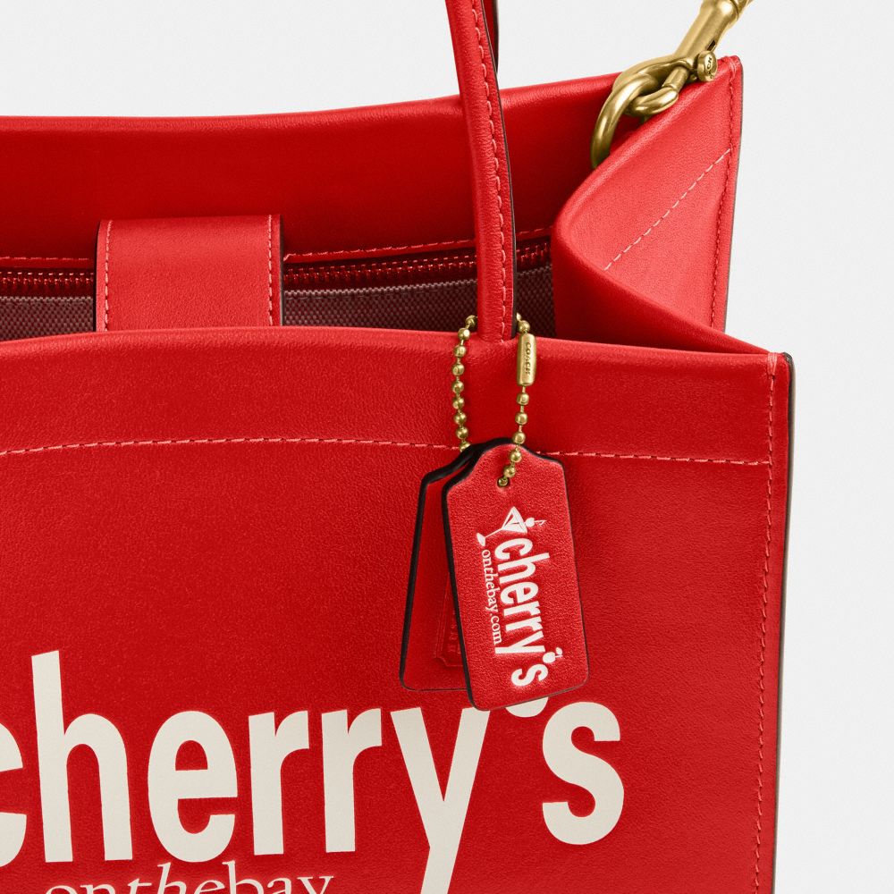 COACH®,Cashin Carry Bag 22 With Fire Island Graphics,,Closer View