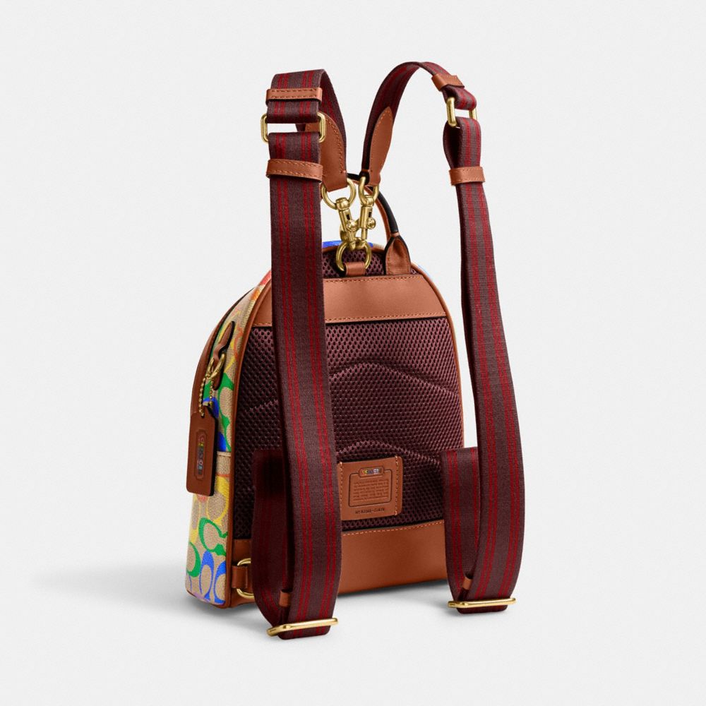 COACH®  Rainbow Leather Covered Short Chain Strap