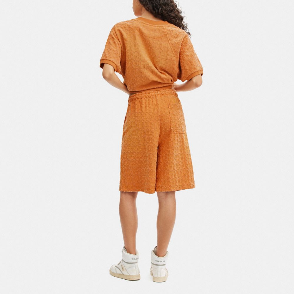 COACH®,Sun Faded Shorts,Polyester,Cotton,Straight,Drawstring,Logo,Casual,Burnt Orange,Scale View