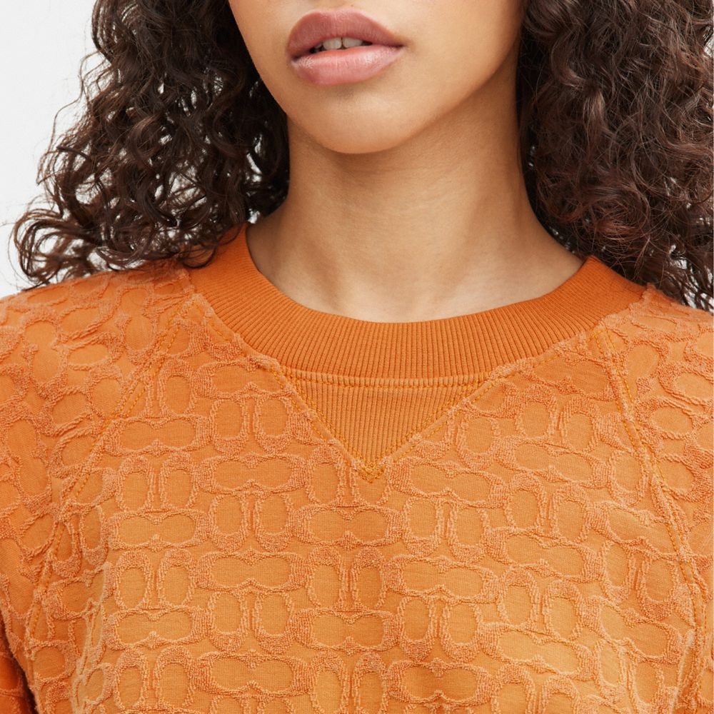 COACH®,Sun Faded Signature Sweatshirt,Polyester,Spandex,Cotton,Sweatshirt,Logo,Casual,Brown,Detail View