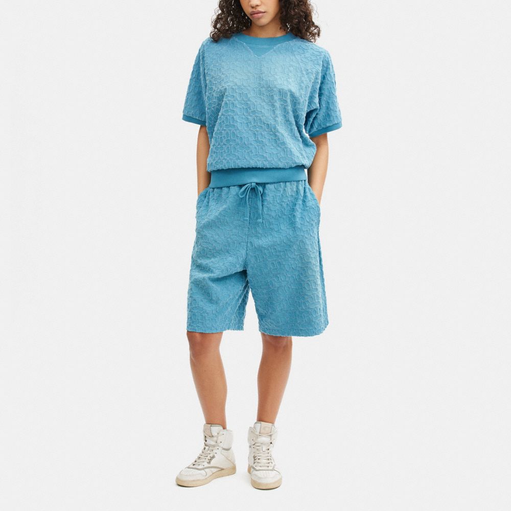 COACH®,サン フェイデッド シグネチャー スウェットシャツ,トップス＆Tシャツ,ﾗｲﾄ ﾌﾞﾙｰ