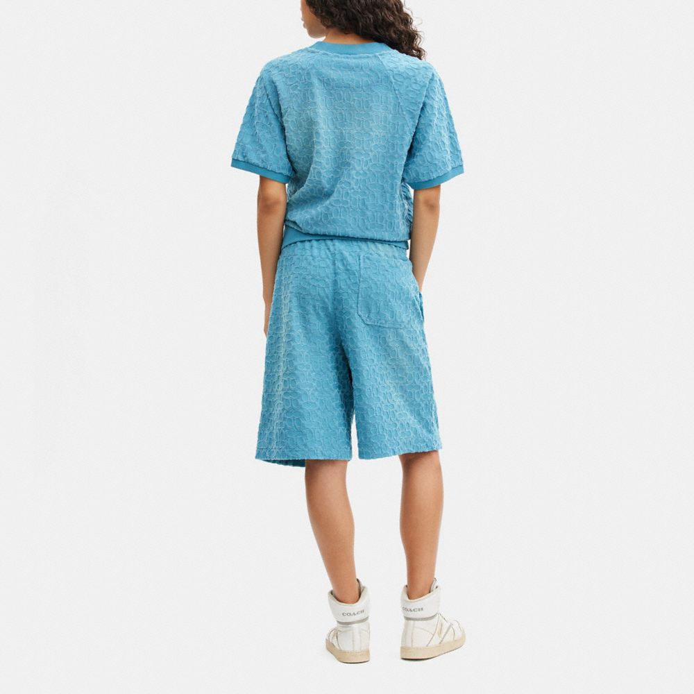 COACH®,サン フェイデッド シグネチャー スウェットシャツ,トップス＆Tシャツ,ﾗｲﾄ ﾌﾞﾙｰ