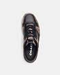 COACH®,C201 SNEAKER IN SIGNATURE CANVAS,Signature Coated Canvas,Black/Maple,Inside View,Top View