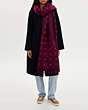 COACH®,STARS AND HEARTS PRINT OVERSIZED MUFFLER WITH POCKETS,Cerise,Detail View