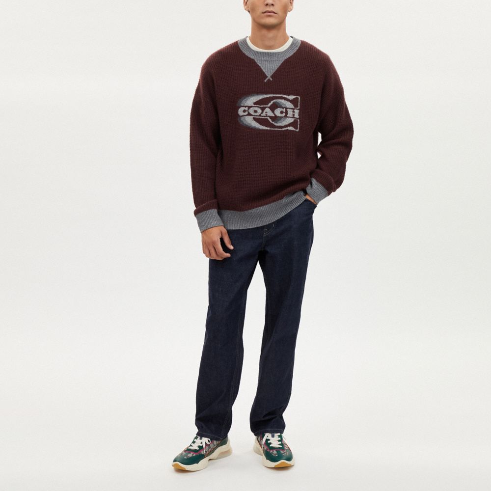COACH®,GRADIENT SIGNATURE CREWNECK SWEATER,Grey Red,Scale View