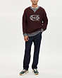 COACH®,GRADIENT SIGNATURE CREWNECK SWEATER,Grey Red,Scale View