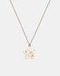 COACH®,WILDFLOWER RESIN PENDANT NECKLACE,Rose Gold/Chalk,Front View