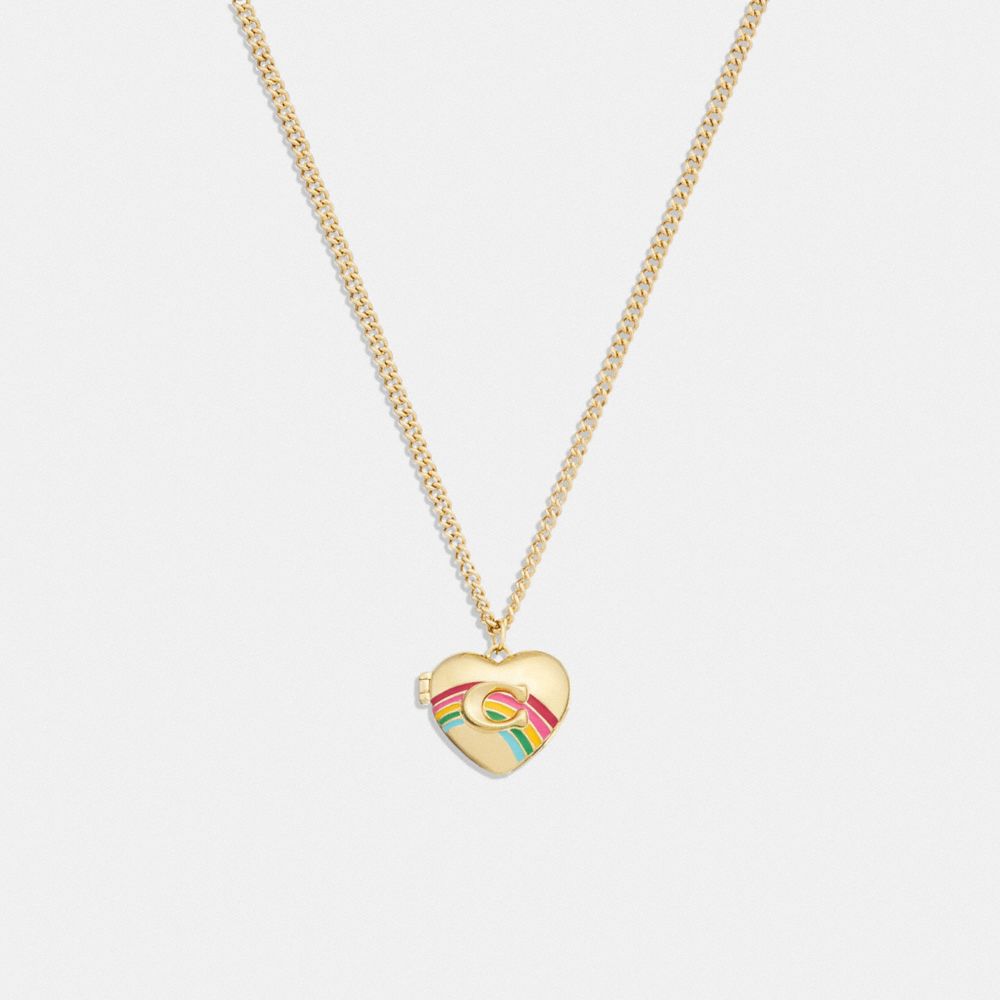 Linked Up Acrylic Heart Necklace -Silver