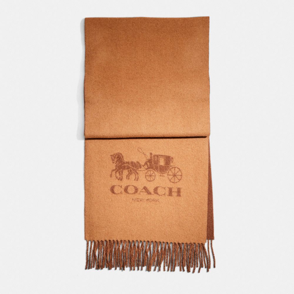 Coach purchases cashmere shawl