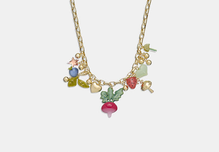 COACH®,COACH X OBSERVED BY US CHARM NECKLACE,Gold/Multi,Front View image number 0
