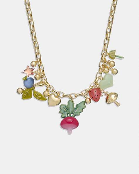 COACH®,COACH X OBSERVED BY US CHARM NECKLACE,Metal,Gold/Multi,Front View