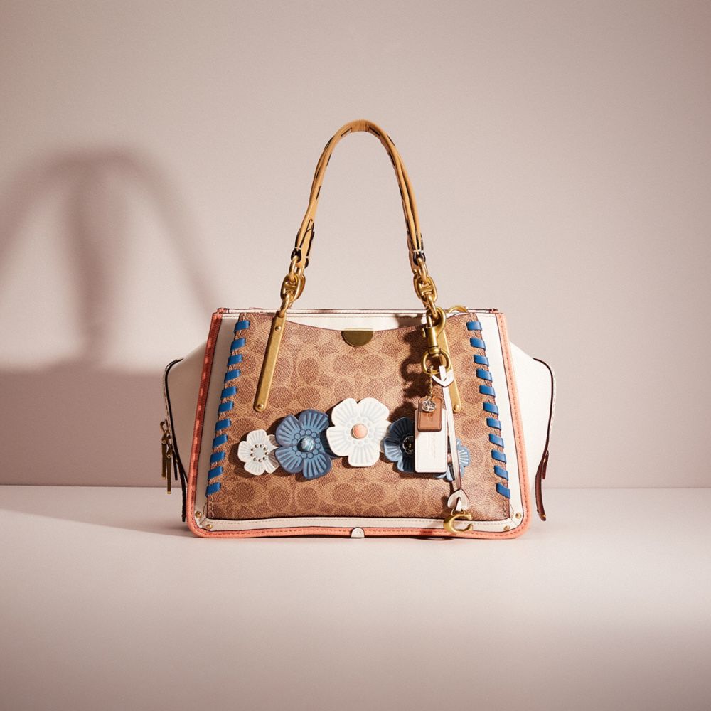 Coach dreamer signature online canvas