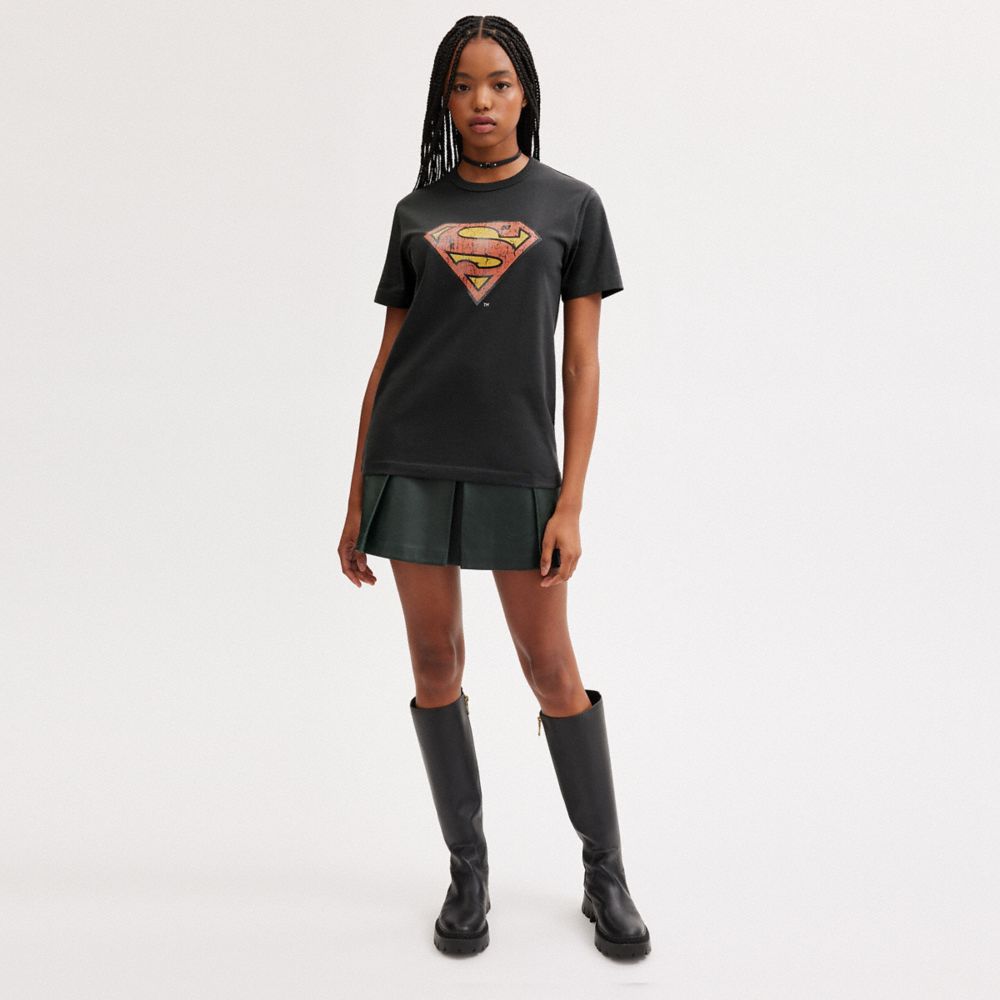 Coach | Dc Superman T Shirt