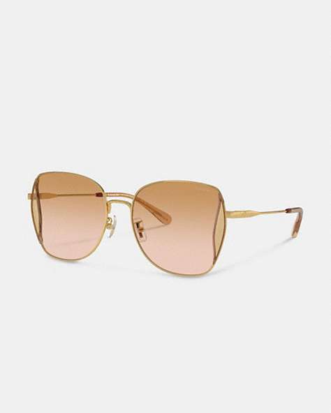 COACH®,OVERSIZED BUTTERFLY SUNGLASSES,Peach Blush Multi,Front View